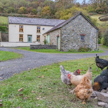 Pwll Farmhouse Llanllawdog ภายนอก รูปภาพ