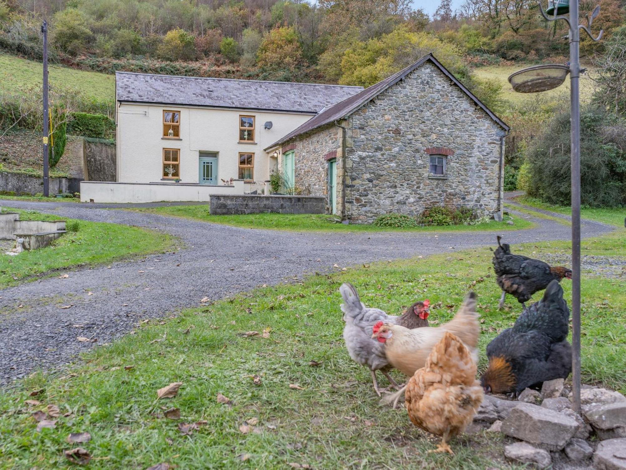 Pwll Farmhouse Llanllawdog ภายนอก รูปภาพ