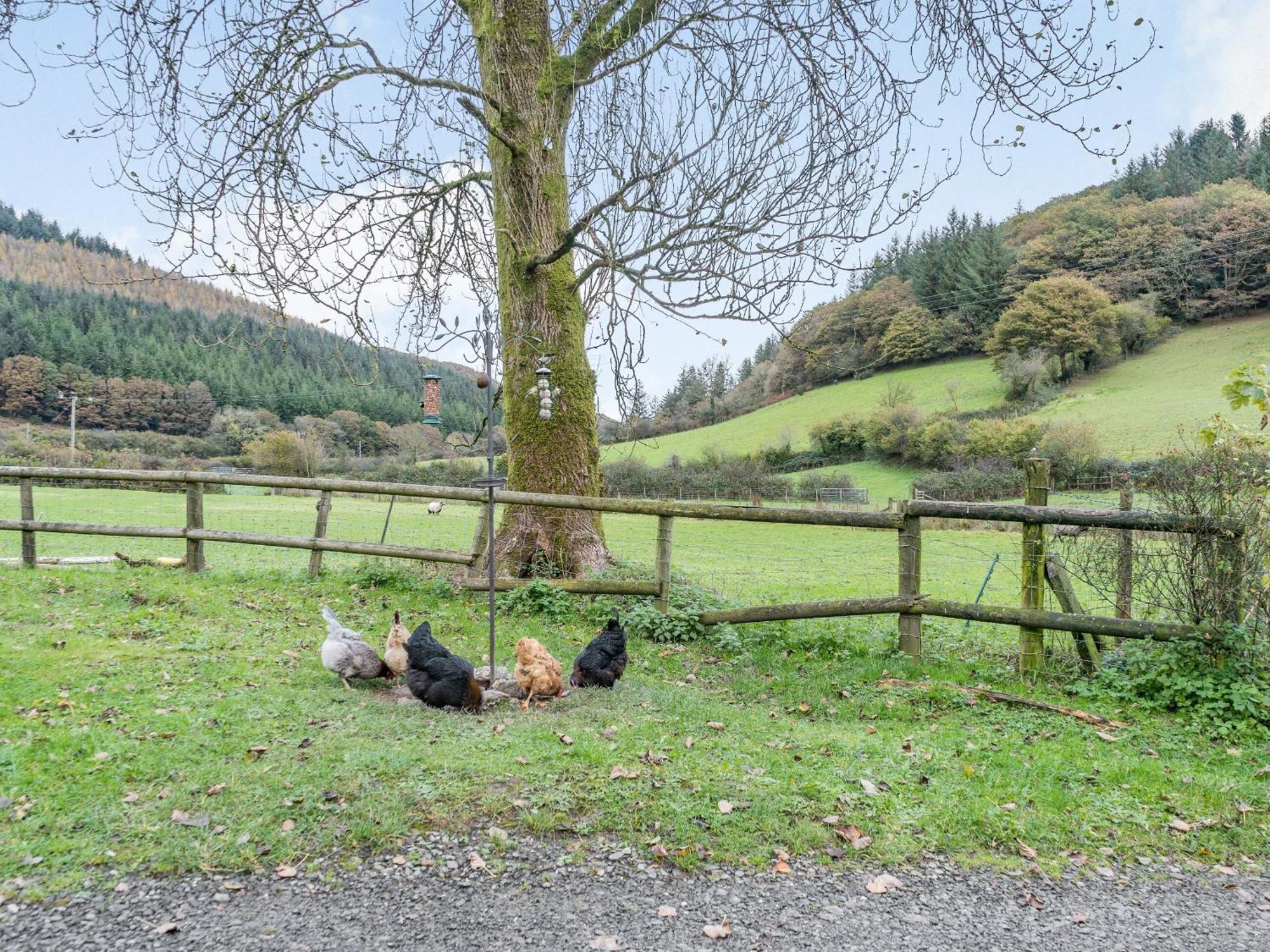 Pwll Farmhouse Llanllawdog ภายนอก รูปภาพ