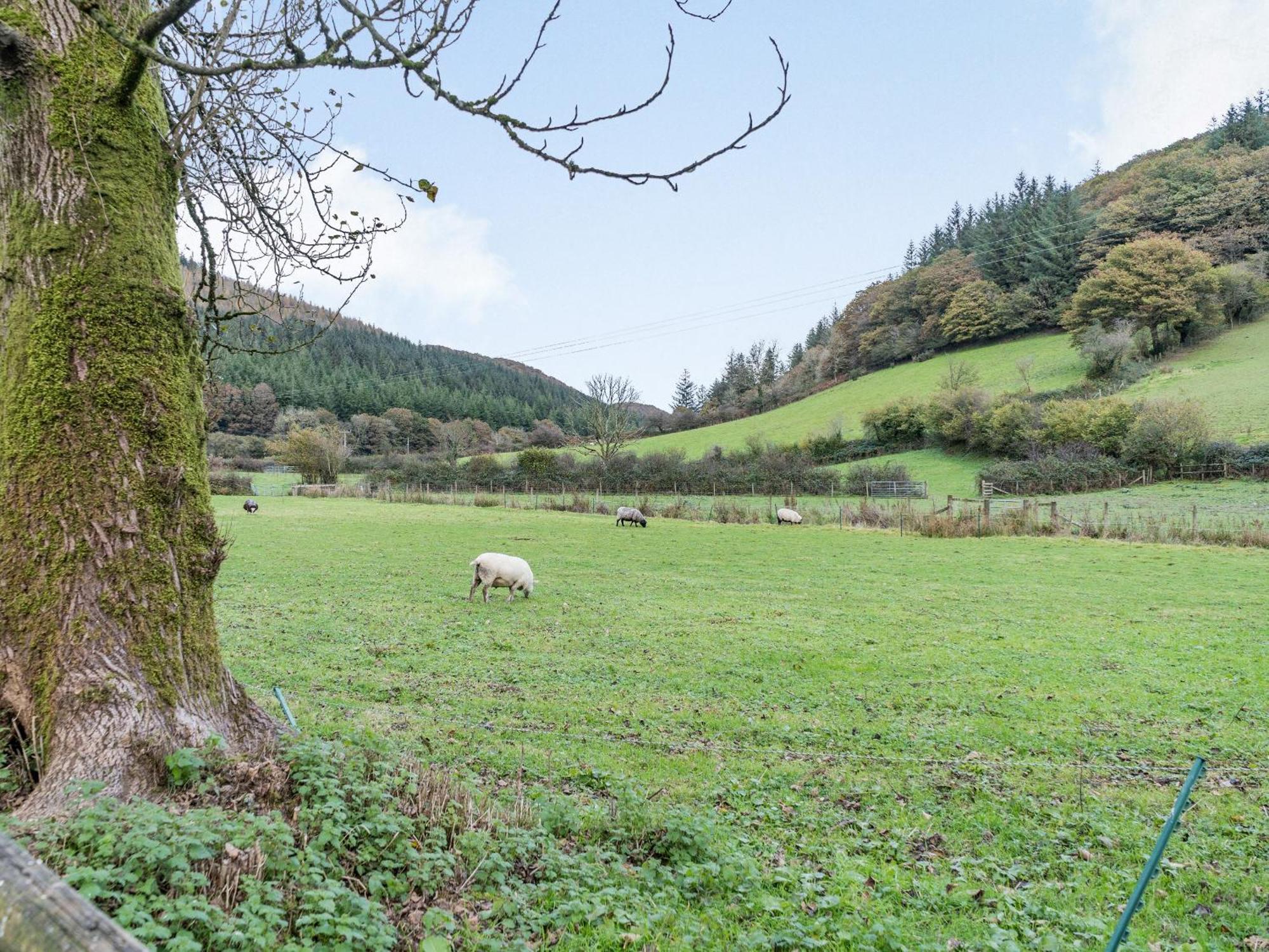 Pwll Farmhouse Llanllawdog ภายนอก รูปภาพ